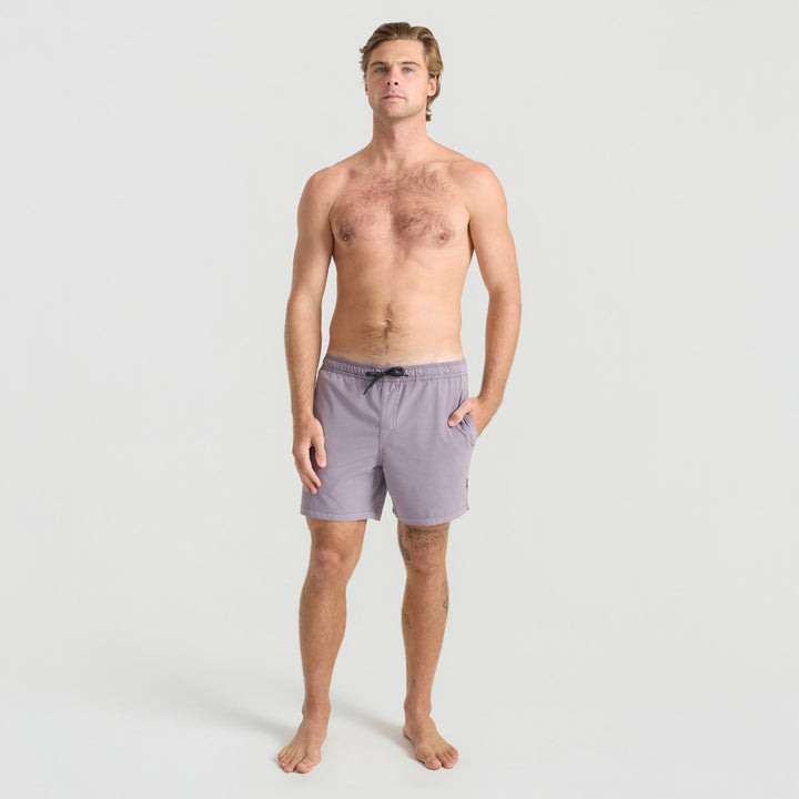Roark Shorey Boardshorts - Men's Washed Dusty Lilac