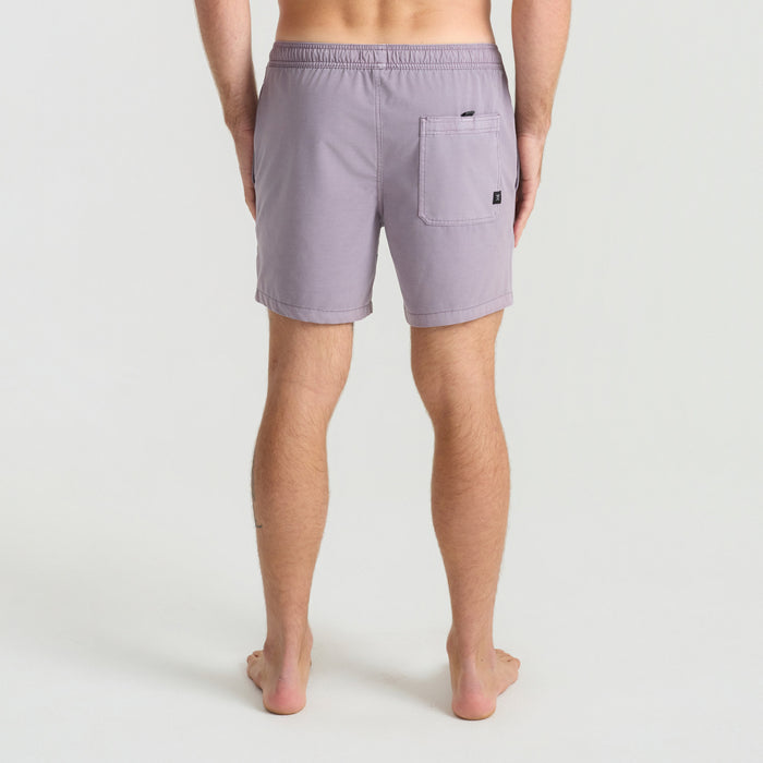 Roark Shorey Boardshorts - Men's Washed Dusty Lilac