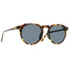 Brindle Tortoise/Terra Colorboost Polarized