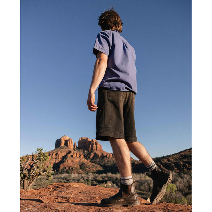 Ripton Bad Leroy Shorts - Men's Rust Bucket