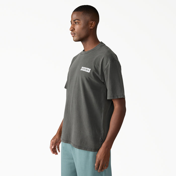 Dickies Buchtell Short-Sleeve T-Shirt - Men's Black