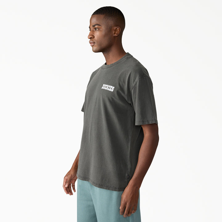 Dickies Buchtell Short-Sleeve T-Shirt - Men's Black