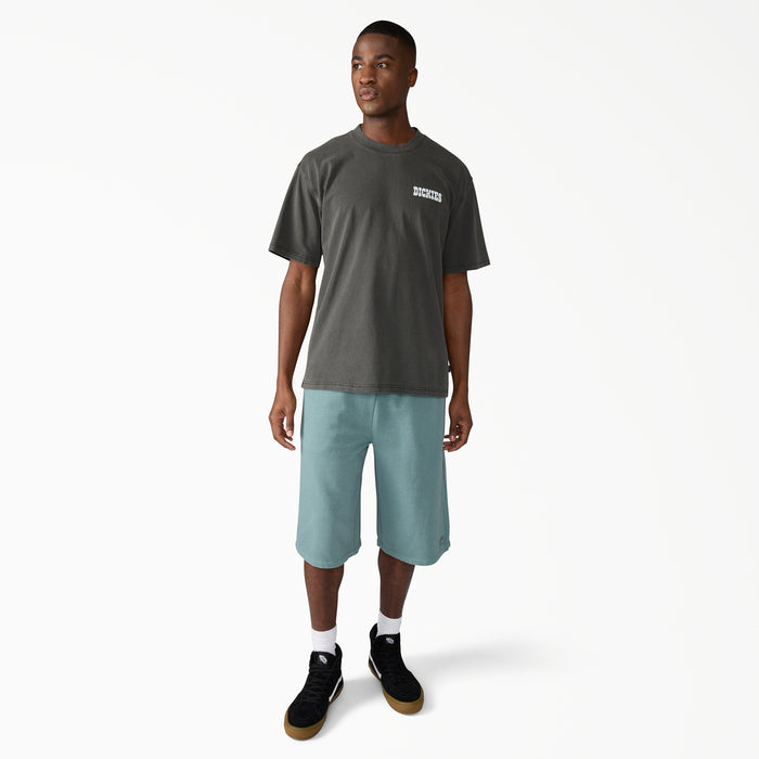 Dickies Buchtell Short-Sleeve T-Shirt - Men's Black