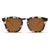 Blenders Sydney Sunglasses Tort/Gloss Crystal Tan Tort/Amber Pol