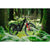 Transition Regulator CX Carbon Eagle 90 E-Mountain Bike 2026 Clear Black Night
