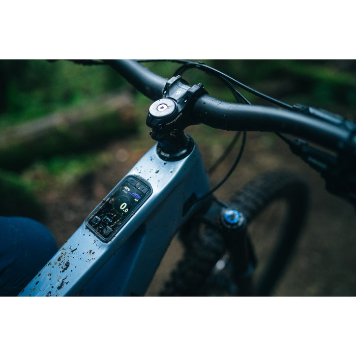 Transition Regulator SX Carbon Eagle 90 E-Mountain Bike 2026 Platinum