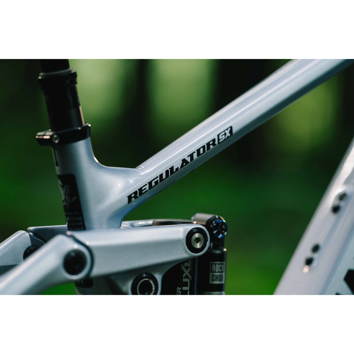 Transition Regulator SX Carbon Eagle 90 E-Mountain Bike 2026 Platinum