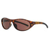 Hawksbill Brown