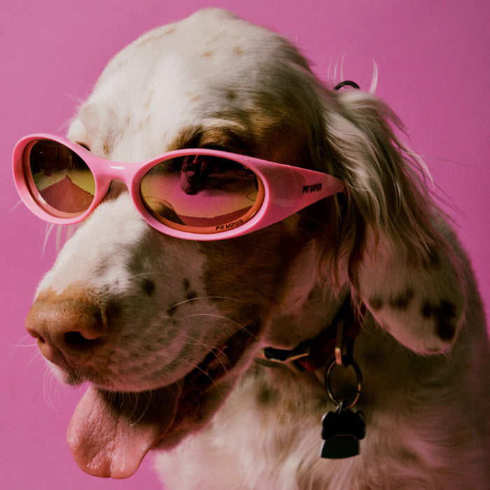 Pit Viper The Slammer Sunglasses Juicy Z87 + HDPV Polarized Pink