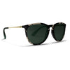 Emerald/Tort/G15 Polarized