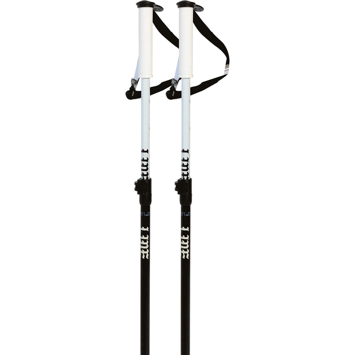 Line Paintbrush Adjustable Ski Poles 2027 Black