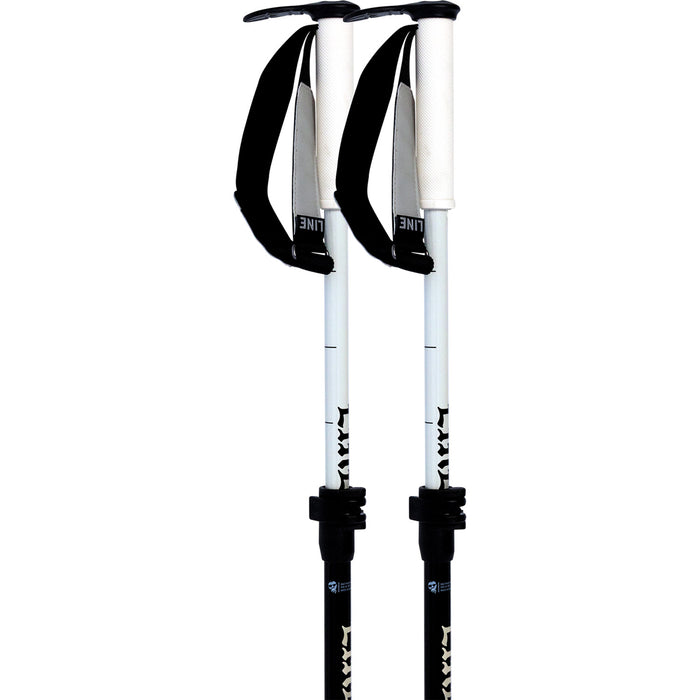 Line Paintbrush Adjustable Ski Poles 2027 Black