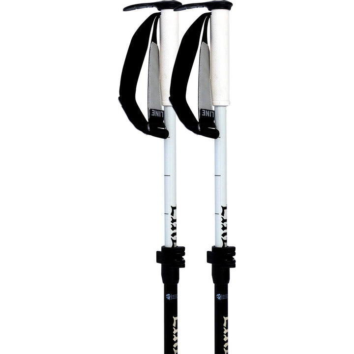 Line Paintbrush Adjustable Ski Poles 2027 Black