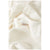Brixton Carefree Organic GD Cropped Henley Top - Women's Off White