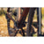 Mondraker Arid S Complete Bike 2026 Bronze