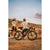 Mondraker Arid S Complete Bike 2026 Bronze