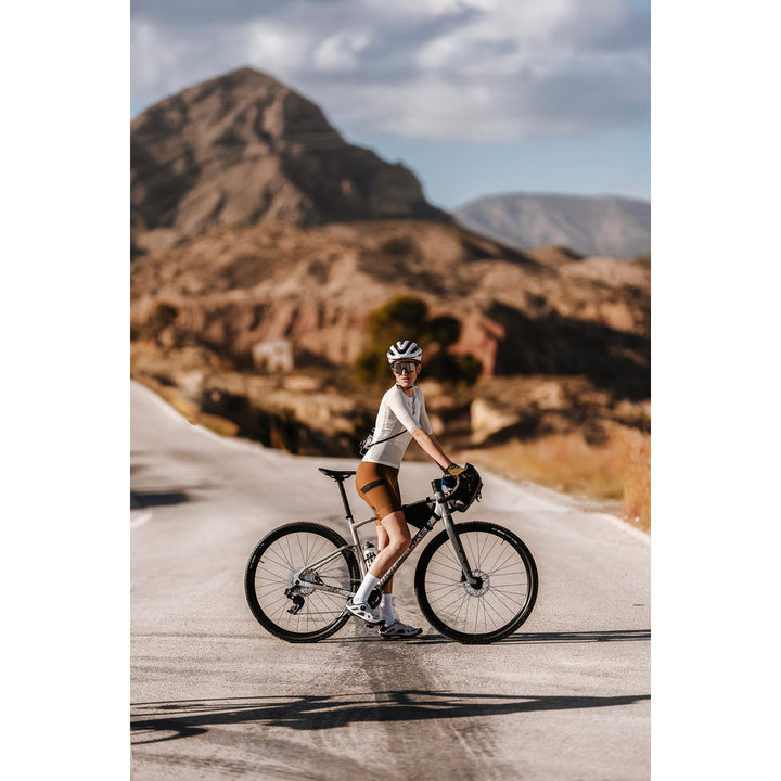 Mondraker Arid R Complete Bike 2026 Golden Silver