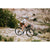 Mondraker Arid R Complete Bike 2026 Golden Silver