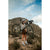 Mondraker Arid R Complete Bike 2026 Golden Silver
