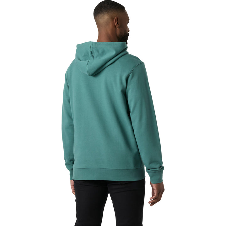 Helly Hansen Box Hoodie - Men's Opal Green