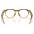 Oakley Meta HSTN Sunglasses Light Curry/Transitions Brown