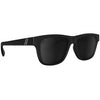 Matte Black/Black/Smoke Polarized
