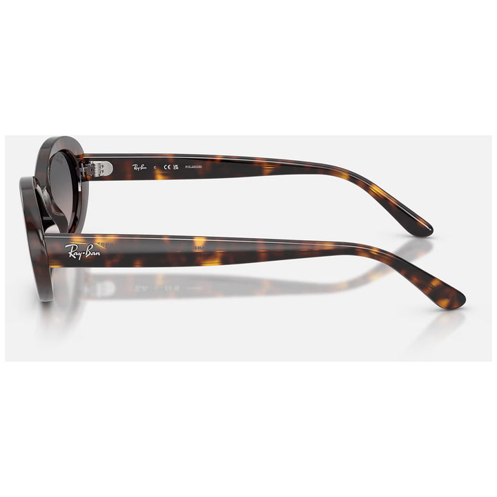 Ray Ban RB2223 Sunglasses Polished Havana/Grey Gradient Polarized