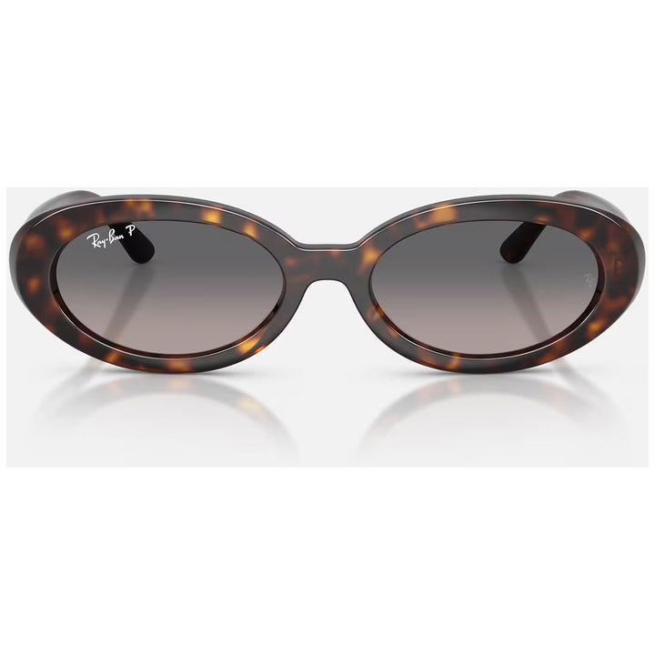 Ray Ban RB2223 Sunglasses Polished Havana/Grey Gradient Polarized
