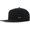 Black Gum