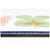 Nitro Mercy Snowboard - Women's 2027