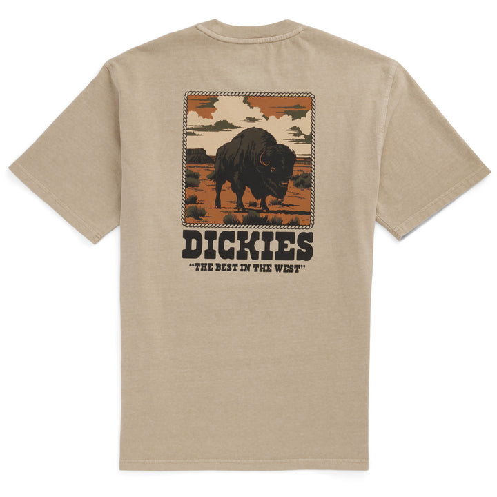 Dickies Darrtown Short-Sleeve T-Shirt - Men's Eucalyptus
