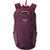 Cotopaxi Empacable 16L Daypack Acai
