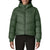 Patagonia Sindit Hoodie Jacket - Women's Canopy Green