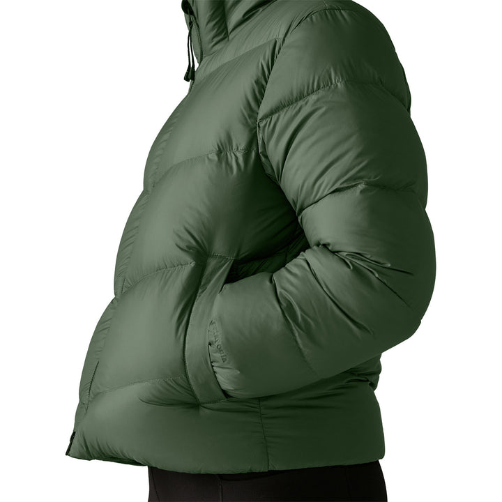 Patagonia Sindit Hoodie Jacket - Women's Canopy Green