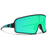 Blenders Eclipse Sunglasses Jaded Tiger/Black/Blue Polar