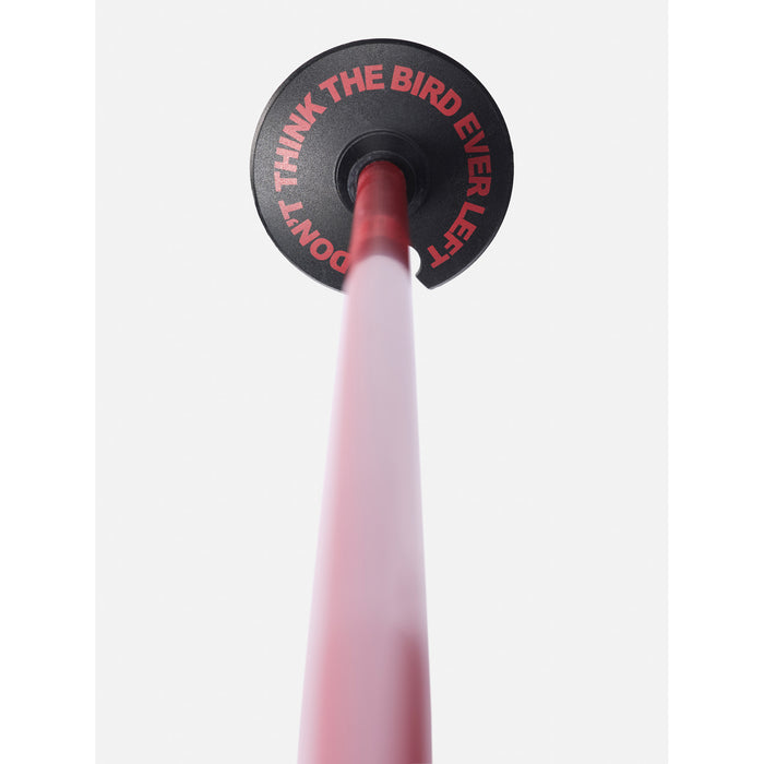 Line Wallischtick Ski Poles 2024