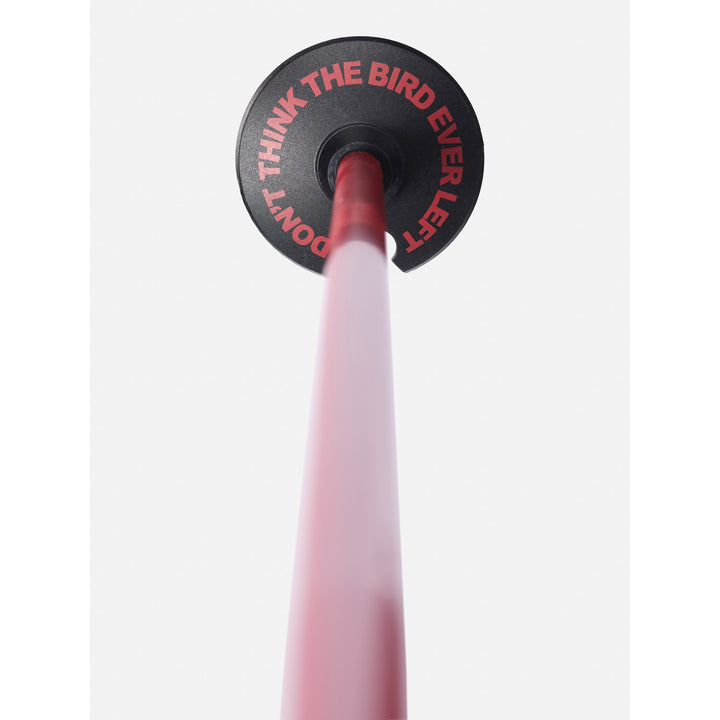 Line Wallischtick Ski Poles 2024