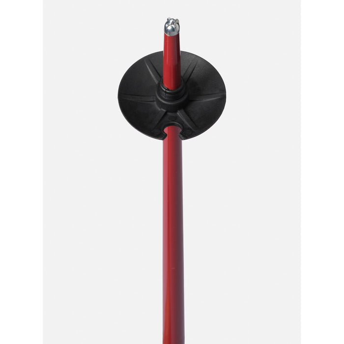 Line Wallischtick Ski Poles 2024