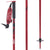 Line Wallischtick Ski Poles 2024