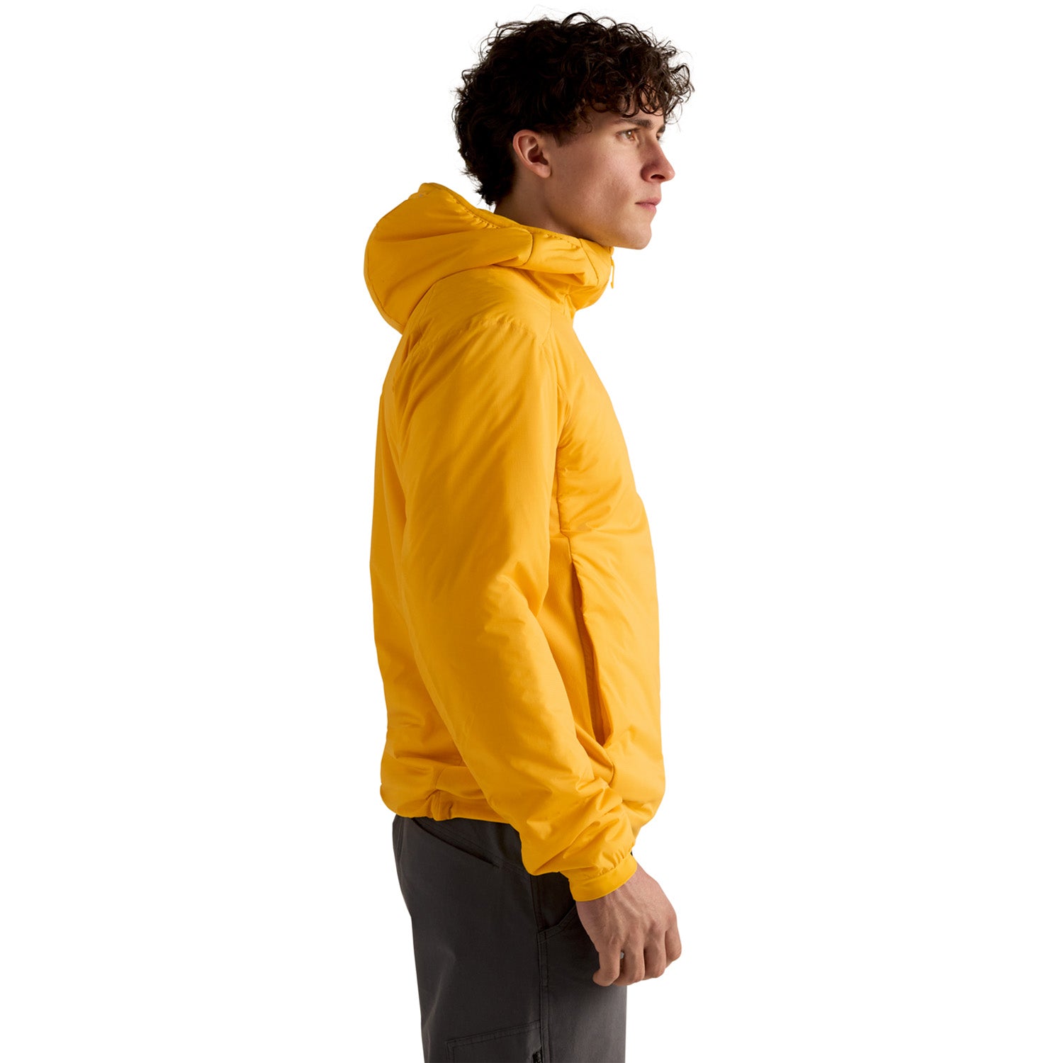 Arc'teryx Atom Hoodie - Men's – evo