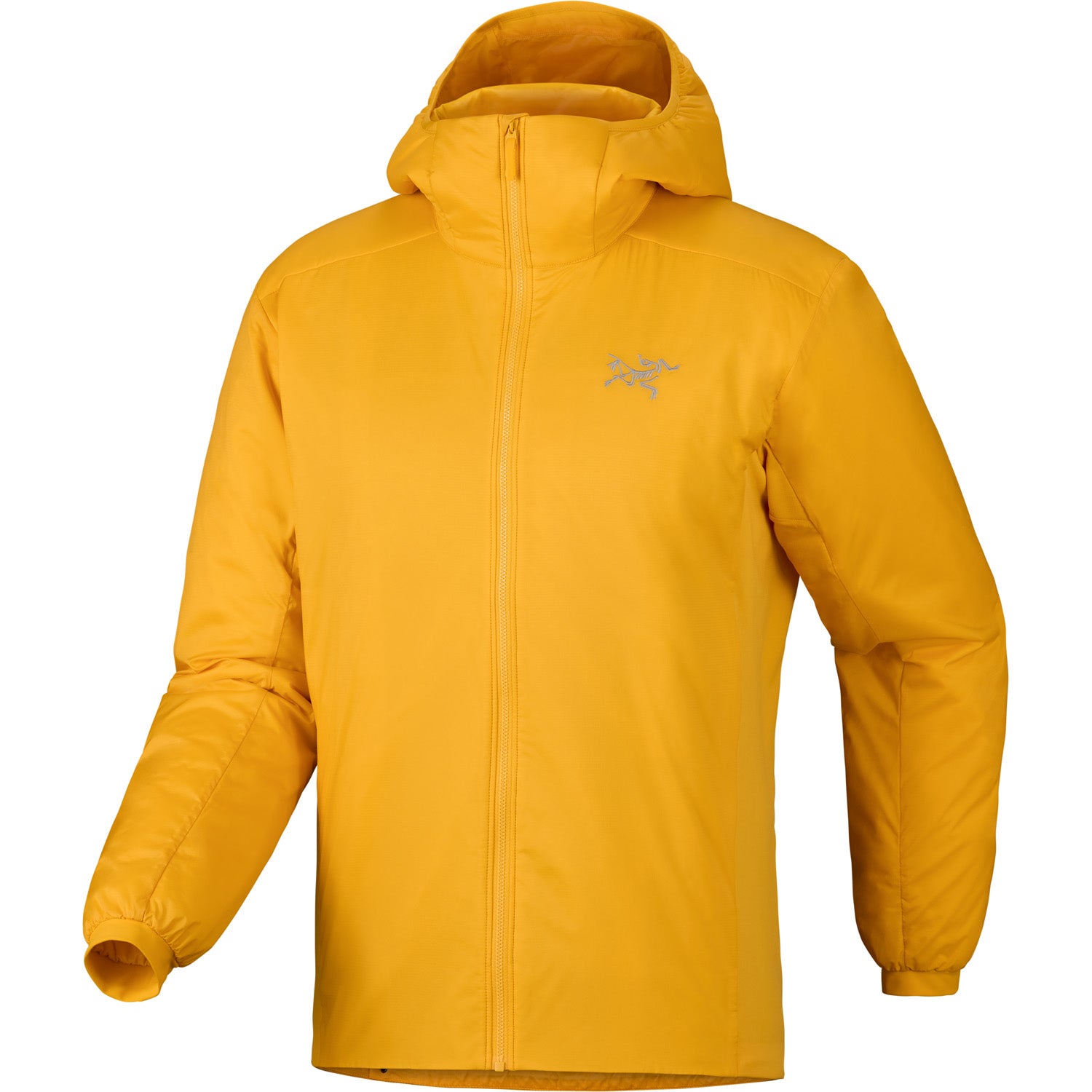 Arc'teryx Atom Hoodie - Men's – evo