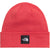 The North Face Dock Worker Recycled Beanie Elevation Red