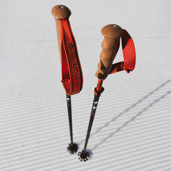 Season Adjustable Ski Poles 2026