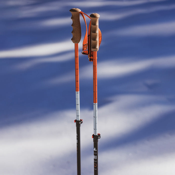 Season Adjustable Ski Poles 2026