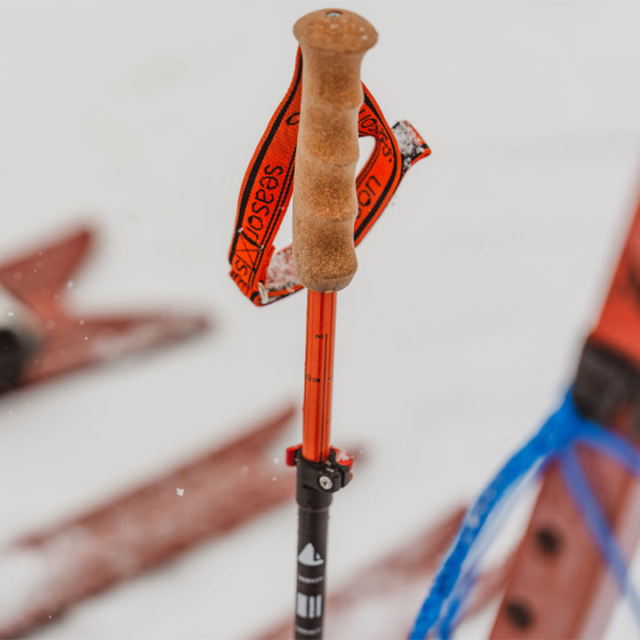 Season Adjustable Ski Poles 2026