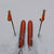 Season Forma Skis 2027