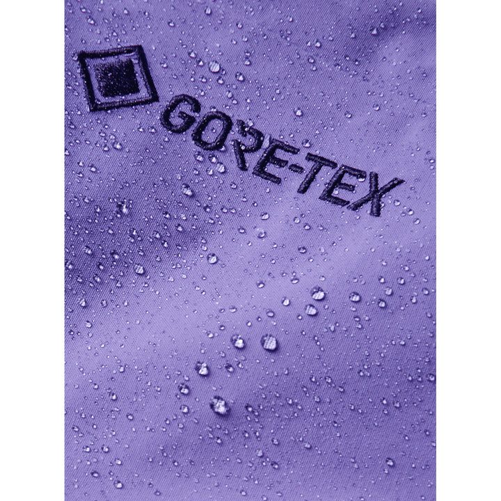 Burton AK Swash Insulated GORE-TEX 2L Pants - Men's Purple Voltage