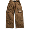 Earth Ship Brown