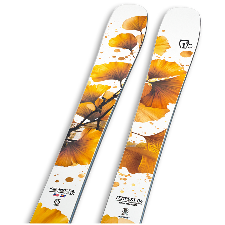 Icelantic Tempest 94 Skis - Women's 2027