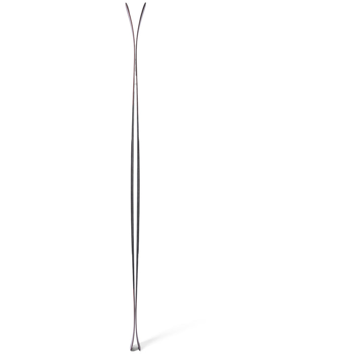 DPS Carbon Reveal Pisteworks 94 Skis 2027